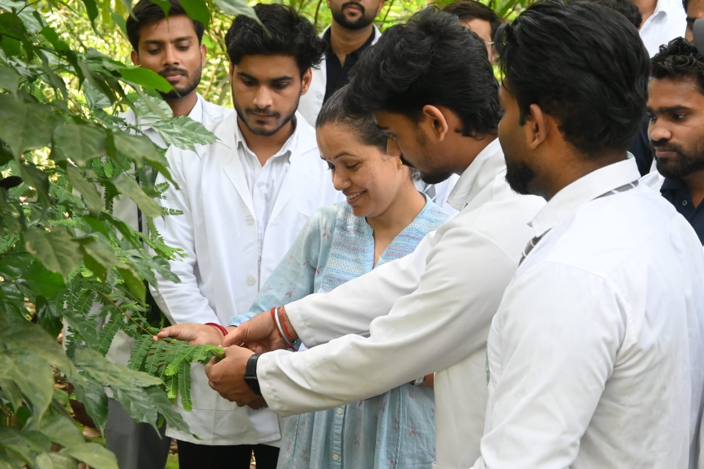 Dravyaguna Vigyana medicinal plant learning activity